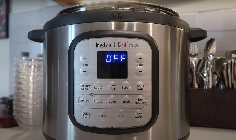 Instant Pot Duo Crisp Pressure Cooker Review